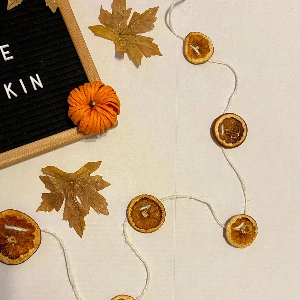 Dry Orange Garland, 30 feet